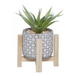 CACTUS MACETA BASE MADERA (6 - 12)