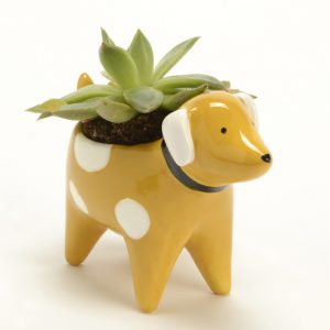 MINI CUBRE MACETA PERRO D5