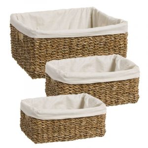 CESTA ALGA N.1