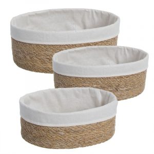CESTA ALGA N.1