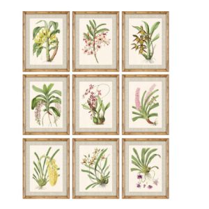CUADRO CRISTAL BAMBU 35X2,8X45 BOTANICO 9 SURT.