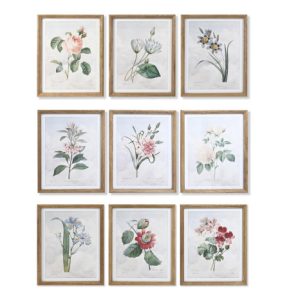 CUADRO CRISTAL ABETO 40X2X50 BOTANICO 9 SURT.
