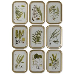 CUADRO CRISTAL MDF 30X2X45 BOTANICO 9 SURT.